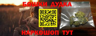 индика Моздок