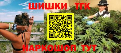 индика Моздок