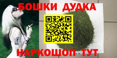 индика Моздок