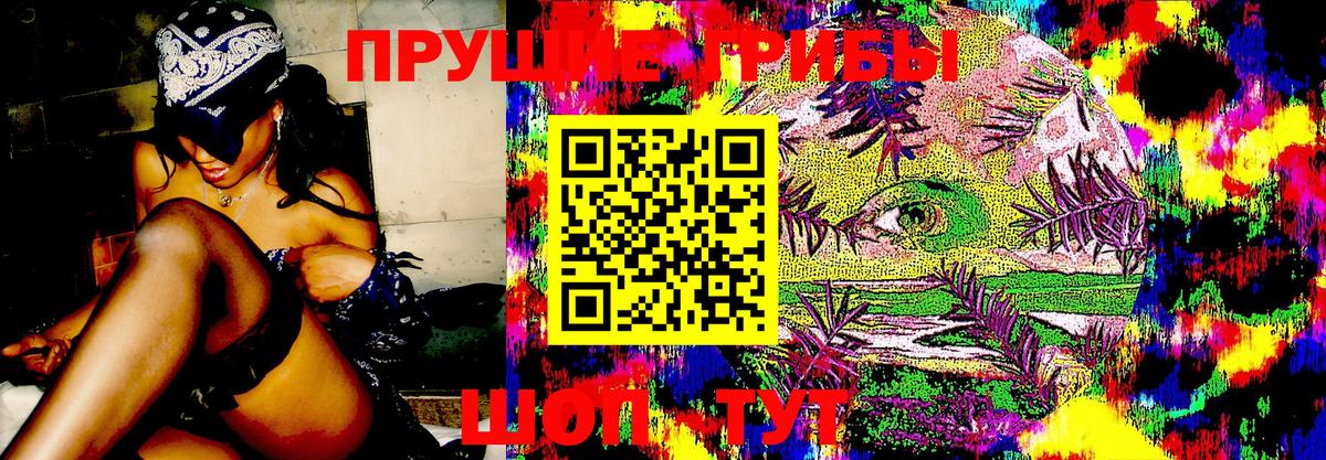 Югорск  Галлюциногенные грибы прущие грибы  Вход с VPN  Псилоцибиновые грибы прущие грибы 