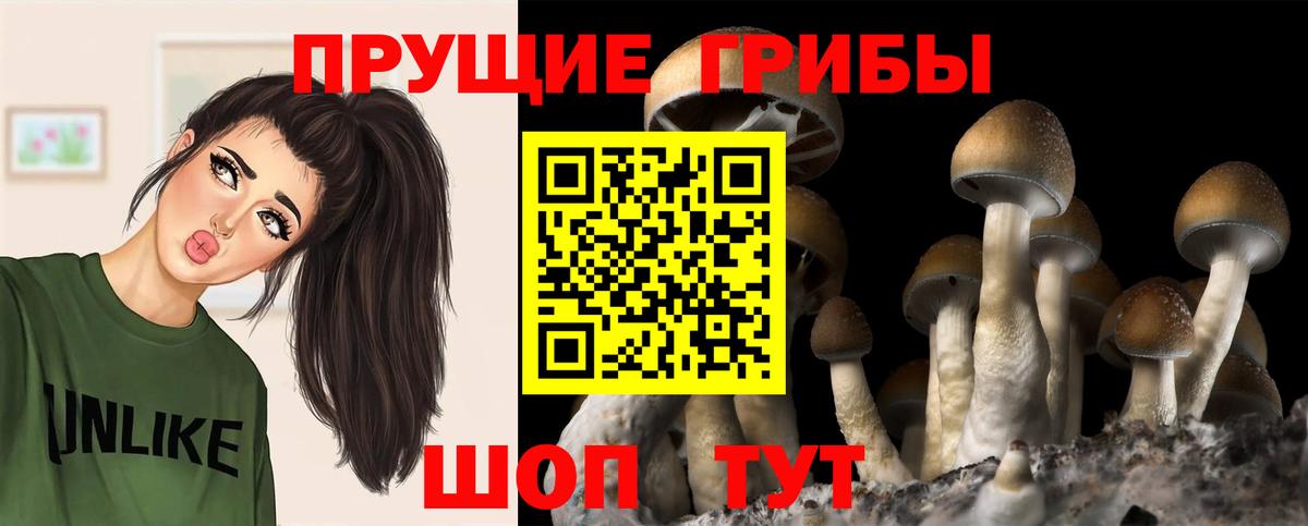 Псилоцибиновые грибы GOLDEN TEACHER Югорск